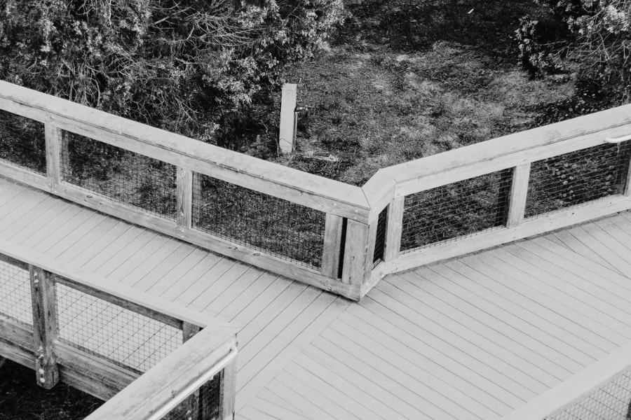 Advantages and Disadvantages of Franchising