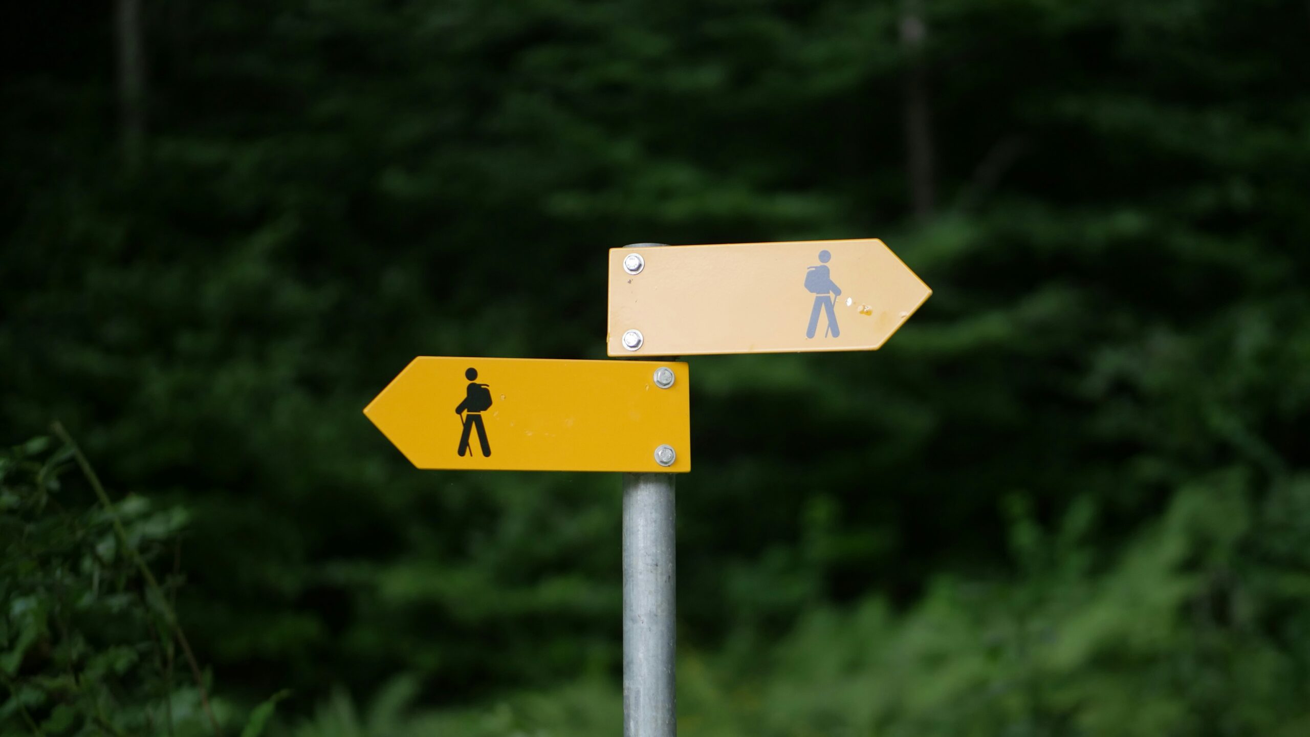 two yellow signs pointing in two directions