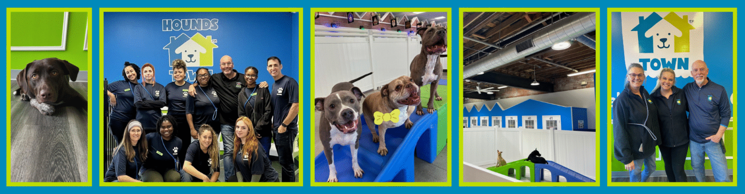 Hounds Town Banner Image