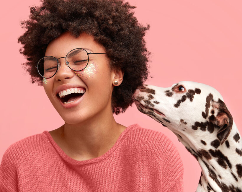 Compare Top Pet Franchises
