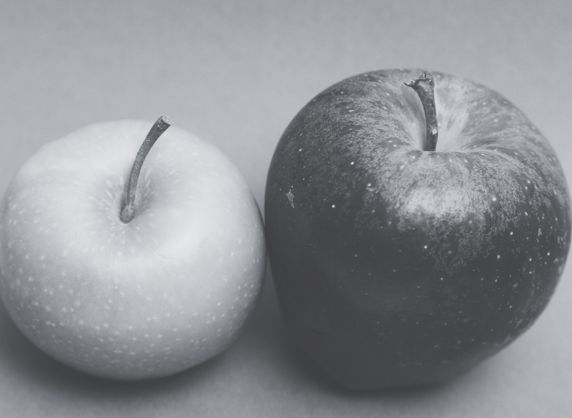 Franchise Business Models - Comparison