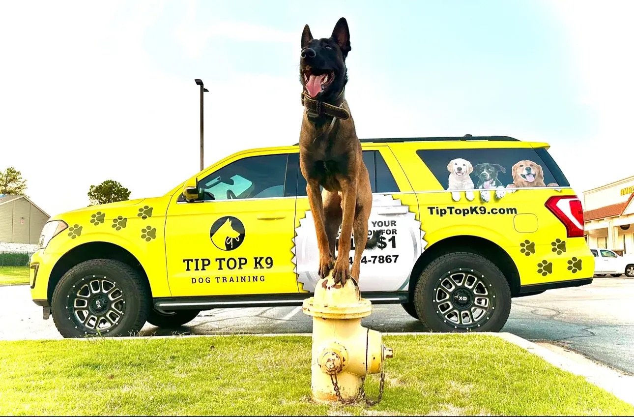 Franchises under $100K: Tip Top K9