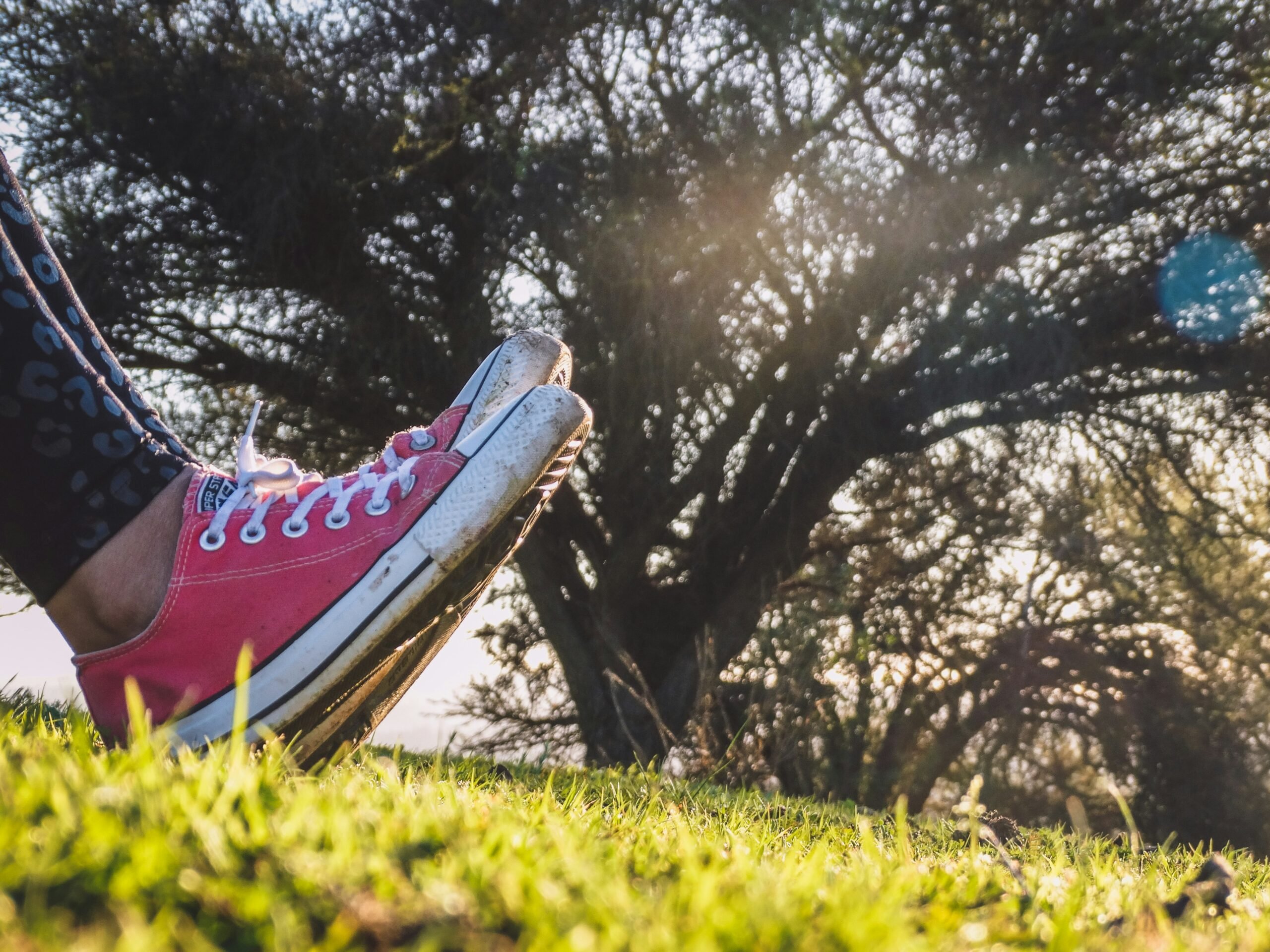 red sneakers in a field