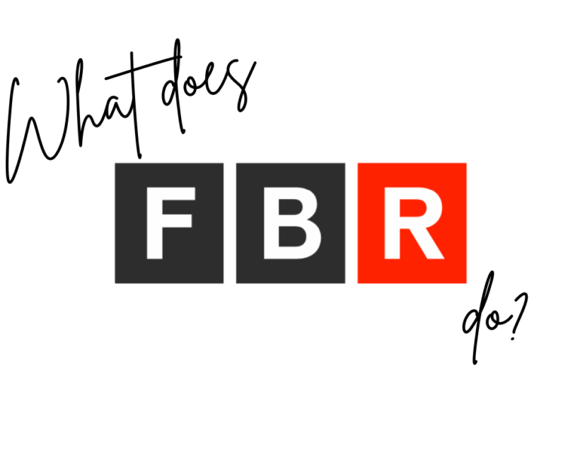 what does franchise business review do?