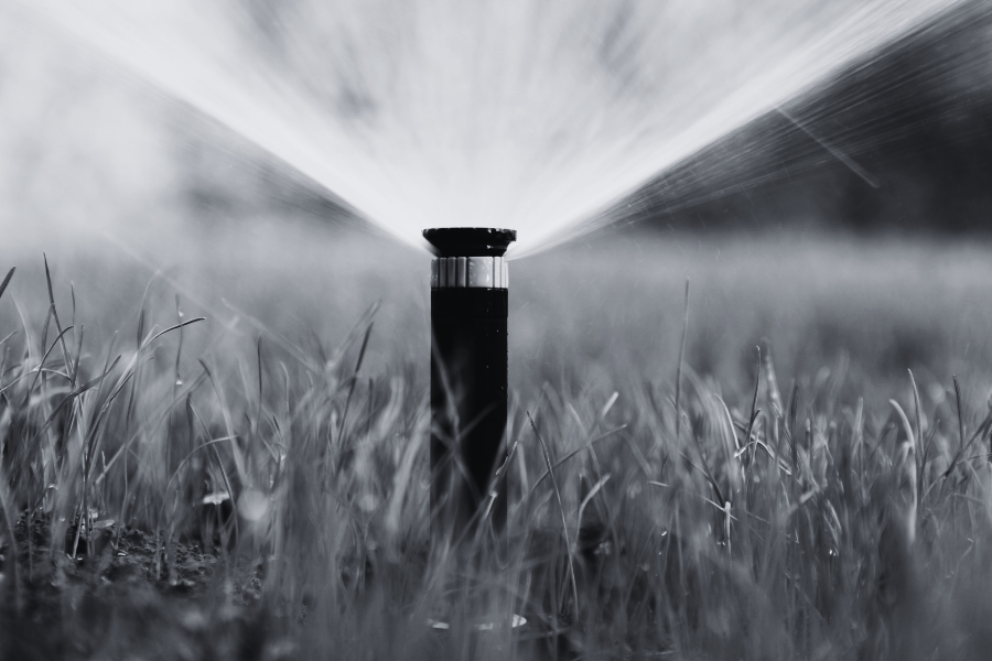 lawn sprinkler